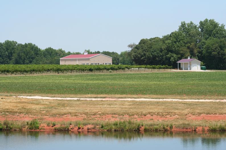 CAUBLE CREEK VINEYARD LANDSCAPE